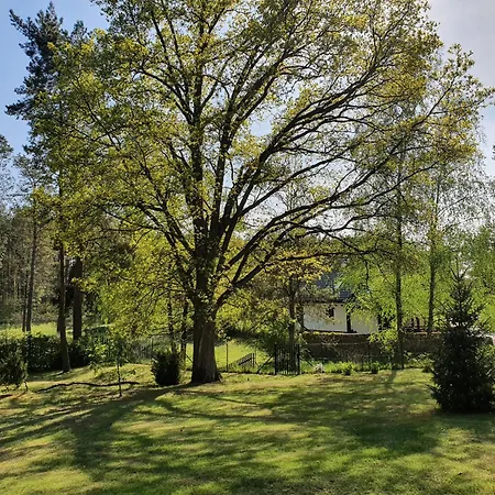 Za Jeziorem - W Borach Tucholskich Tatil Evi